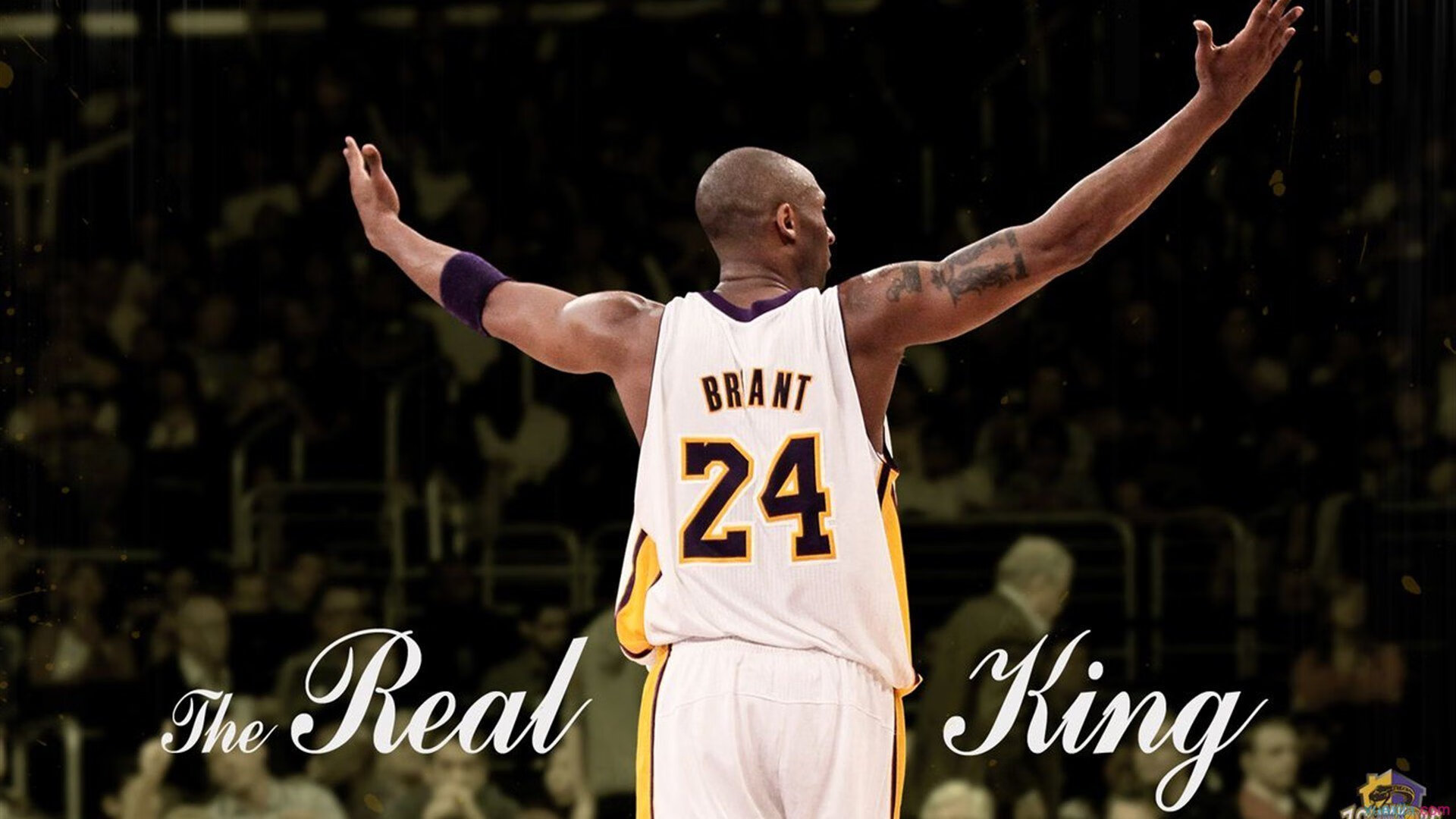 体育新闻中心发布体育短视频运营策略指导手册,体育短视频营销